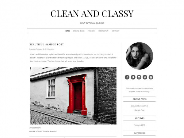 Clean And Classy Wp Theme