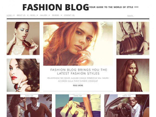 Fashion Blog Wp Theme